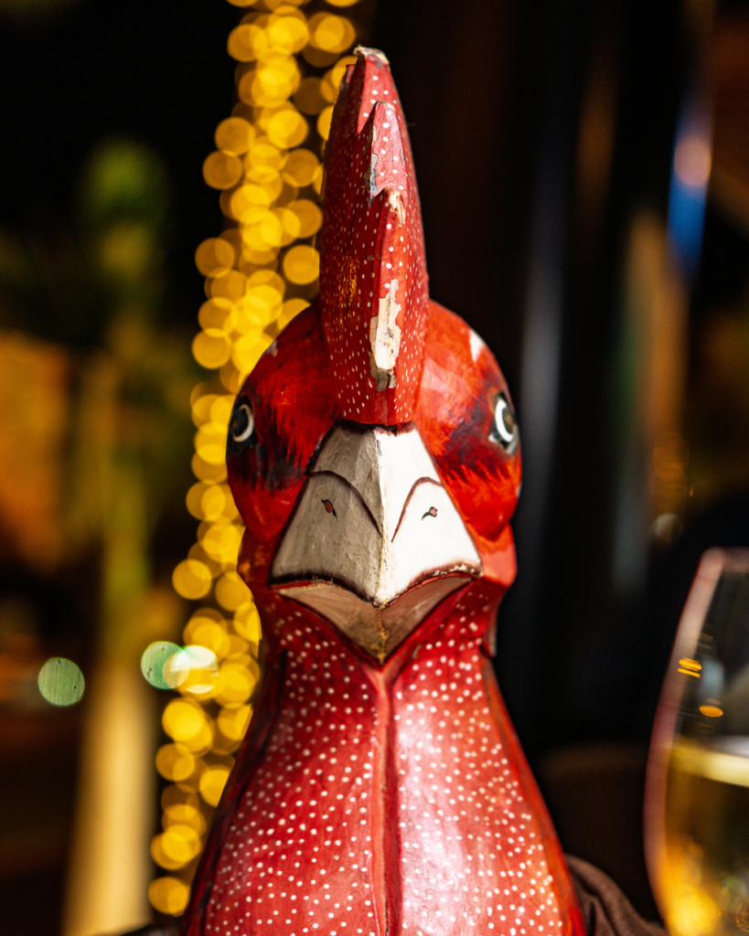 MirandaMX - Tenerife Sur